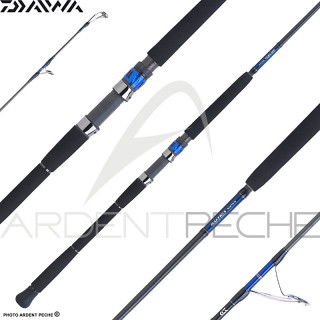 Canna DAIWA Saltiga spinning