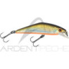 Poisson nageur SMITH D Contact 63