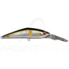 Pesce nageur SMITH D Direct 55