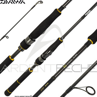 DAIWA BG Seabass rod