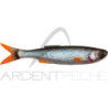 Artificiali morbidi SAVAGE GEAR Craft Dying Minnow 10cm