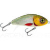 Hard lure SALMO Fatso 10 S
