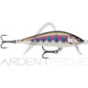 Pesce nuotatore RAPALA Countdown Elite 55