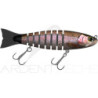 Swimbait BIWAA S´trout 9