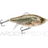 Pesce nageur BIWAA Raffal 130