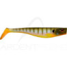 Dexter Shad 175 - lo shad per lucci da record e altri predatori - Ardent Tecniche di pesca