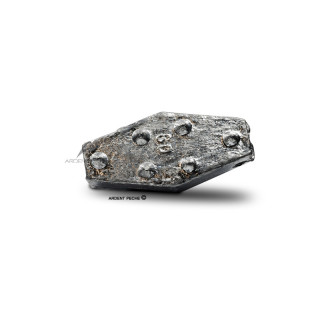 LEMER Piombo esagonale a crampon x1