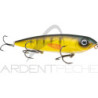 Pesciolino STRIKE KING KVD Sexy dawg