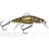 Poisson nageur SALMO Bullhead 4 F