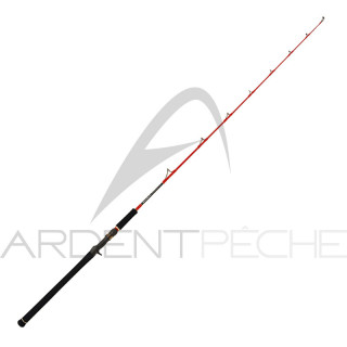 Canna TENRYU Diamond Red