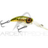 SPRO Fat Iris 40 DR crankbait