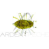 Soft bait ILLEX Magic Woodlouse