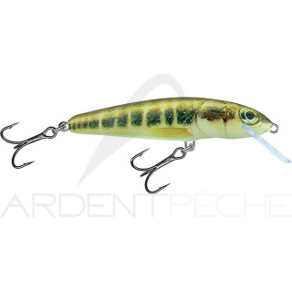 Crankbait SALMO Minnow 6 F