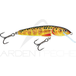 Crankbait SALMO Minnow 6 F