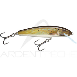 Poisson nageur SALMO Minnow 6 S