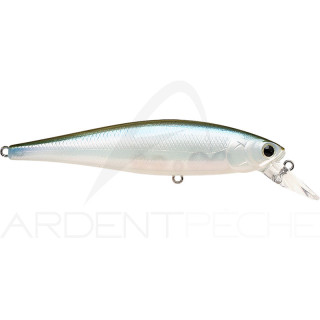 Pesce nuotatore LUCKY CRAFT B Freeze Pointer 100 SW