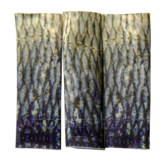 Finger guard Mullet ARDENT PECHE