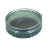 Scatola mosche FISHPOND Shallow MagPad Fly Puck