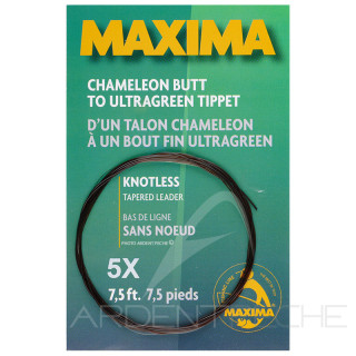 MAXIMA Leader (2.25m)