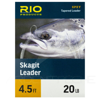 Leader RIO Skagit