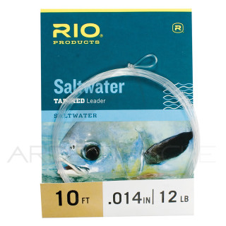 RIO Saltwater Leader 10´ (3m)