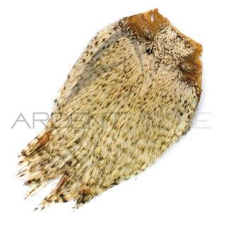 Colli di gallo Dry Fly chinchilla