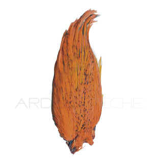 Colli di gallo DEVAUX Top Grade tinto Arancione
