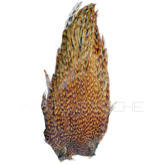 Colli di gallo DEVAUX Top Grade Chinchilla rossiccio