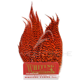 Whiting Bugger Pack Grizzly tinto arancione