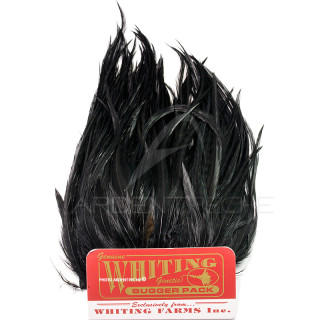 Whiting Bugger Pack Nero