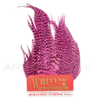 Whiting Bugger Pack Grizzly tinto rosa