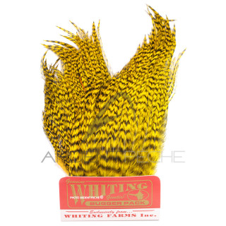 Whiting Bugger Pack Grizzly tinto giallo