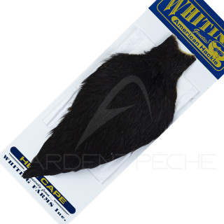 Collo di gallina American Hackle nero