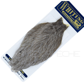 Hen neck American Hackle mouse grey