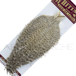 Pardo necks Whiting Grizzly pardo