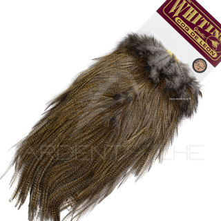 Pardo saddles Whiting Bronze medium Pardo