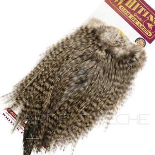 Croupes pardo Whiting Bronze Grizzly Variant