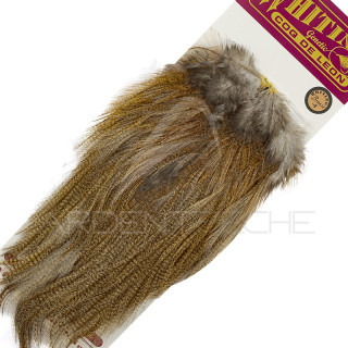 Croupes pardo Whiting Bronze ginger Pardo