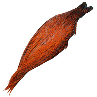 Collo di gallo DEVAUX G3 Rossiccio