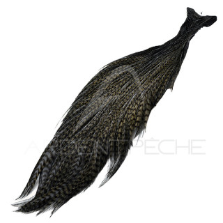 DEVAUX G3 Grizzly Dark Grey Cock Necks