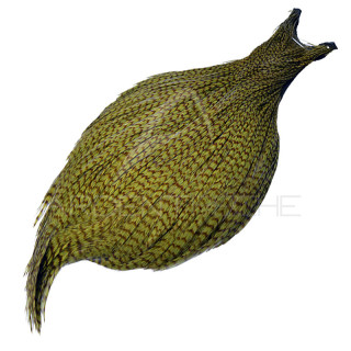 Collo di gallo DEVAUX G3 Grizzly oliva