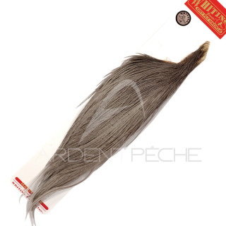 1/2 WHITING Bronze Grey Cock Necks