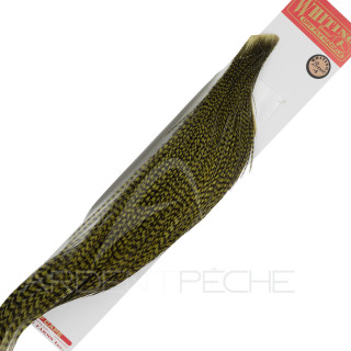 1/2 colli di gallo WHITING bronze Grizzly tinto Olive scuro