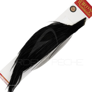 1/2 WHITING bronze cock capes Black