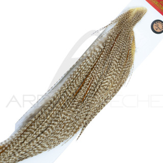 1/2 colli di gallo WHITING bronze Dun Grizzly
