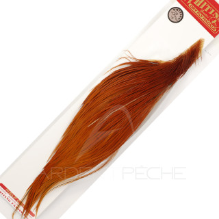 1/2 WHITING Bronze Rusty Cock Necks