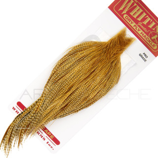 Colli di gallo WHITING Pro grade Barred Dark Ginger