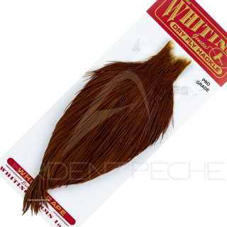 Colli di gallo WHITING Pro grade Roux