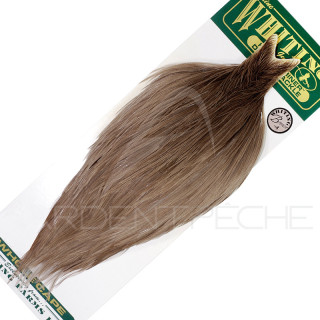 Colli di gallo WHITING HEBERT bronzo naturale grigio chiaro