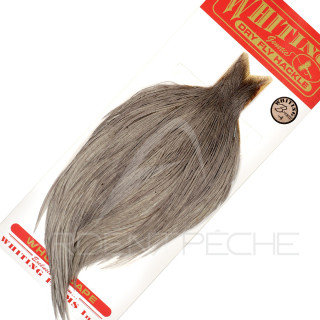 WHITING Bronze Grey Cock Necks